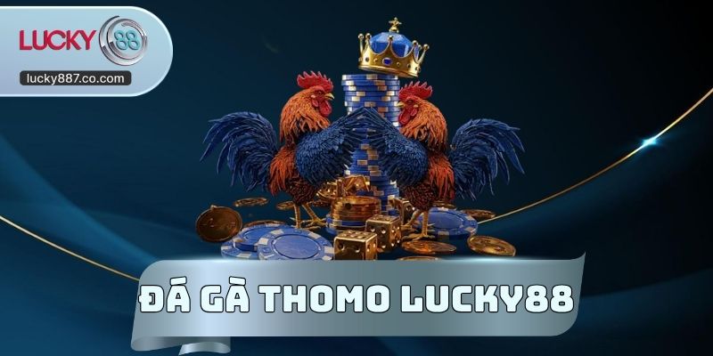 Đá Gà Thomo Lucky88