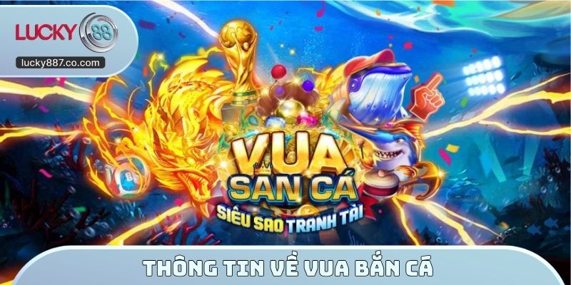 Thông tin về vua bắn cá