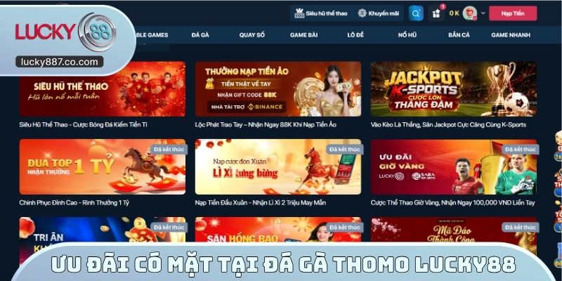 Ưu đãi có mặt tại đá gà Thomo Lucky88